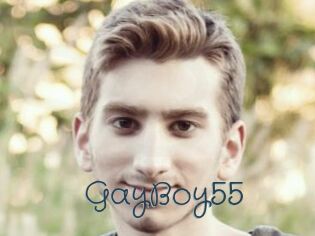 GayBoy55