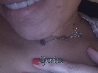 gata Sexcam Livesex