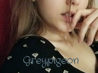 greypigeon Sexcam Livesex