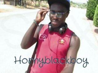 Hornyblackboy