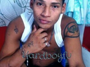 Hardboyfu