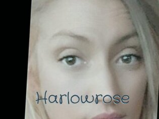 Harlowrose