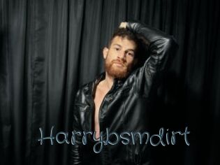 Harrybsmdirt