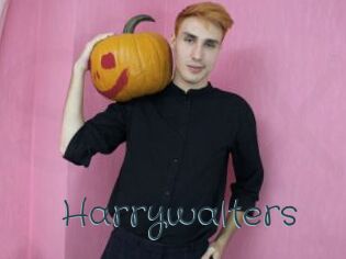 Harrywalters