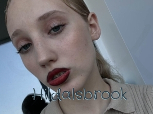 Hildalsbrook