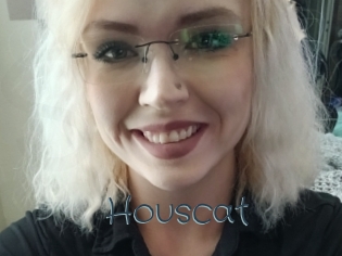 Houscat