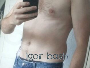 Igor_bash