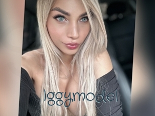 Iggymodel
