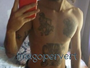 Imagopervert