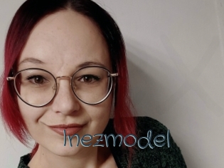 Inezmodel