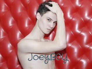 JoeyB0Y