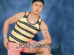 JoshSawyer