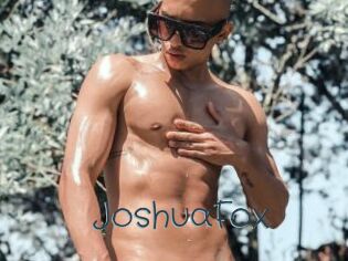 JoshuaFox