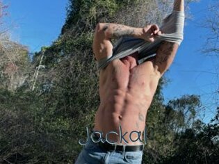 Jackal