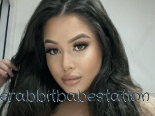 Jaderabbitbabestation