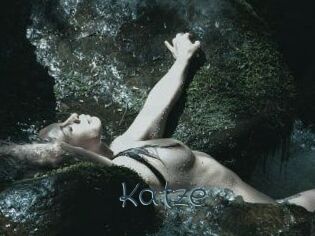 Katze