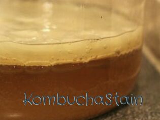 KombuchaStain