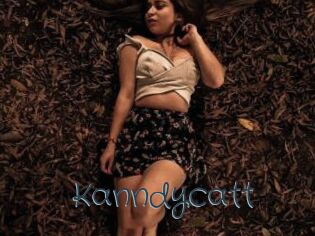 Kanndycatt