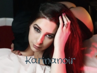 Karinanoir