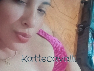 Kattecavalli