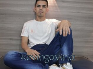 Kevingaviria