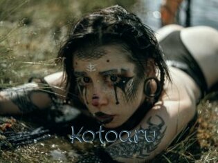 kotoaru Sexcam Livesex