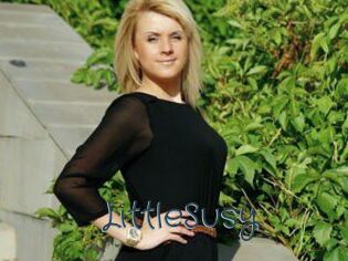 LittleSusy