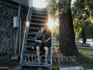 Little_Kittens