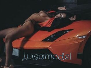Luisamodel
