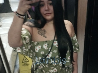 Laribis