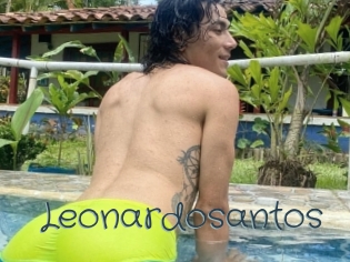 Leonardosantos