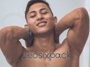 Leosixpack