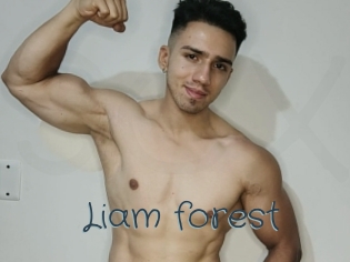 Liam_forest