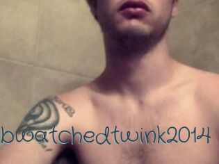 Luv2bwatchedtwink2014