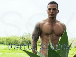 MATIUS_COSLINK