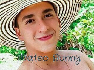 Mateo_Bunny