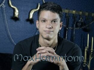 MaxHamintonn