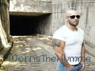 MorrisTheHumme Sexcam Livesex