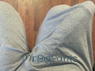 MrBigPants
