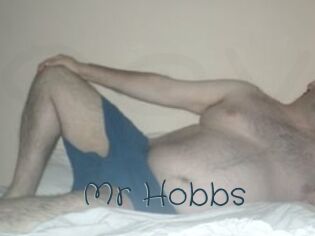 Mr_Hobbs