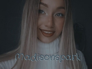 Madisonspark