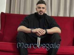 Marcusgale