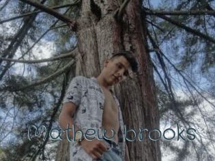 Mathew_brooks