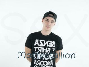 Mattestallion