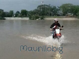 Maurillobig