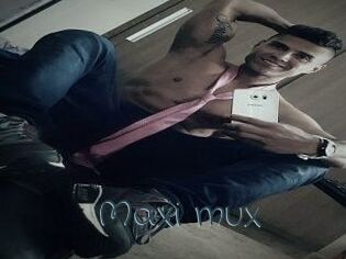 Maxi_mux