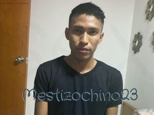 Mestizochino23
