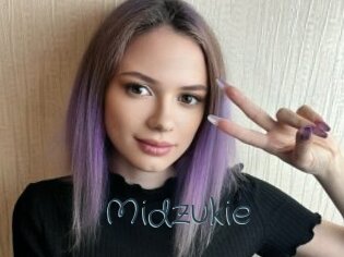 Midzukie