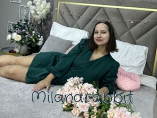 Milanarabbit