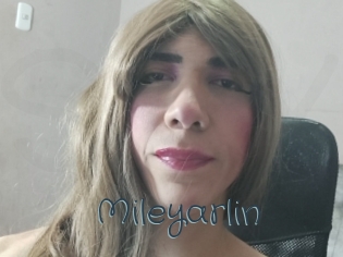 mileyarlin Sexcam Livesex